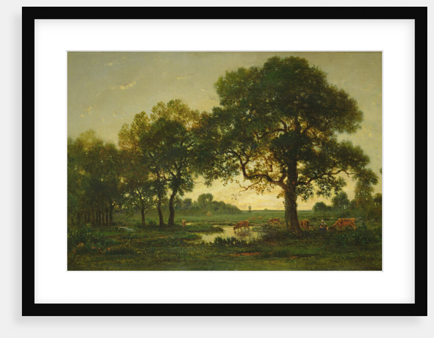 The Pond Oaks by Theodore Rousseau