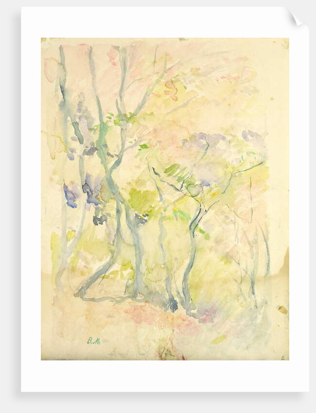 Forest in Fontainebleau, 1893 by Berthe Morisot