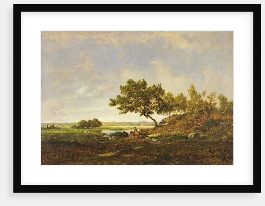 The Pond at the Foot of the Hill, c.1848-55 by Theodore Rousseau