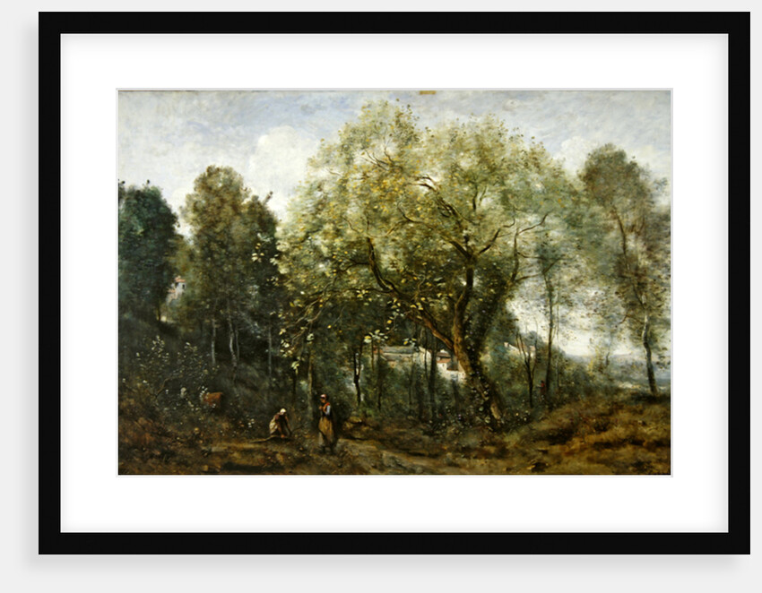 Le Catalpa, memory of Ville-d'Avray, 1869 by Jean Baptiste Camille Corot