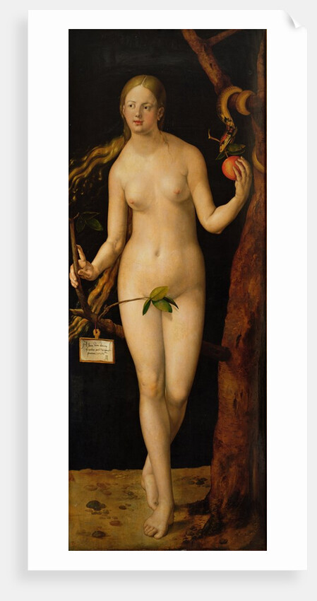 Eve, 1507 by Albrecht Dürer or Duerer