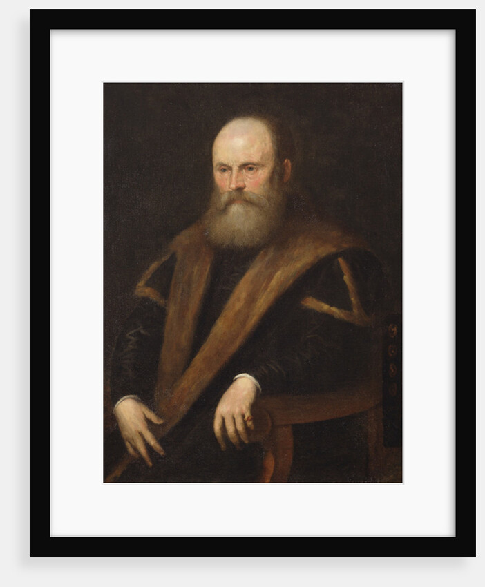 Portrait of a Venetian noble by Jacopo Robusti Tintoretto