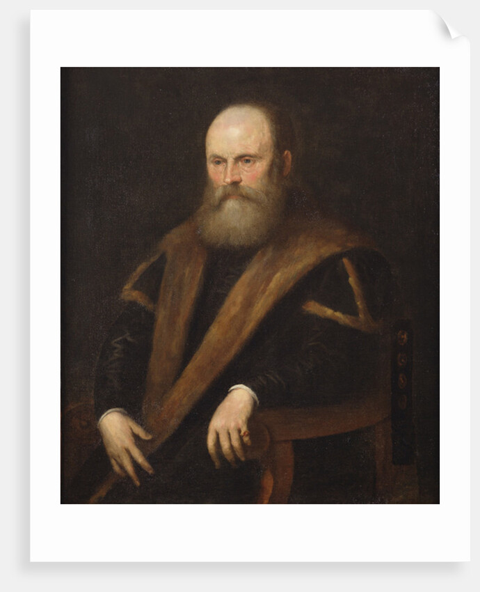 Portrait of a Venetian noble by Jacopo Robusti Tintoretto