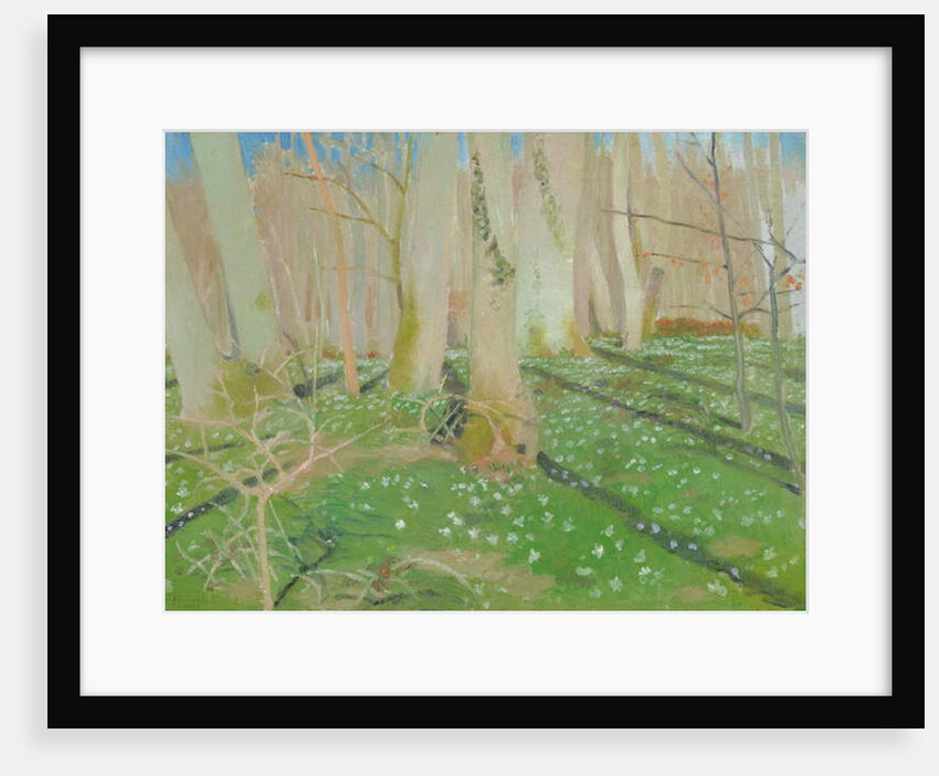 Forest with anemonies, 1889 by Maurice Denis