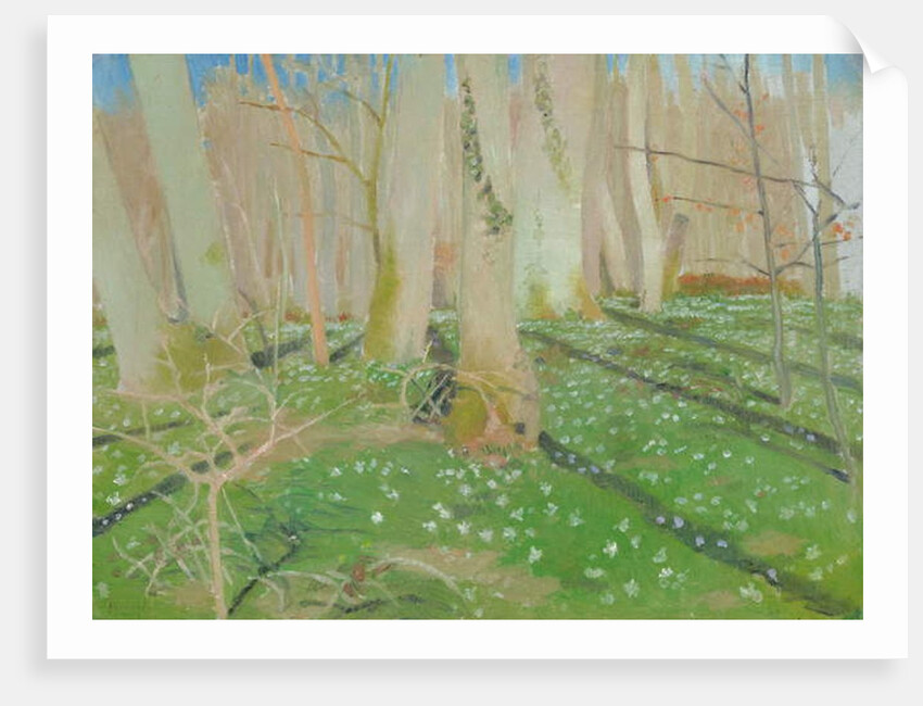 Forest with anemonies, 1889 by Maurice Denis