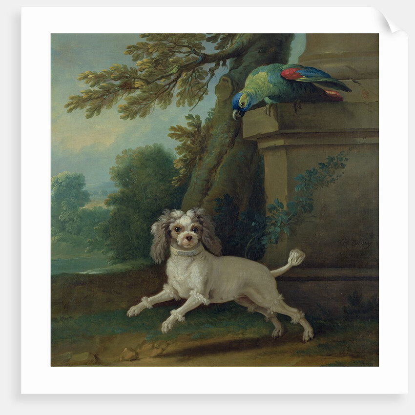 Zaza, the dog, c.1730 by Jean-Baptiste Oudry