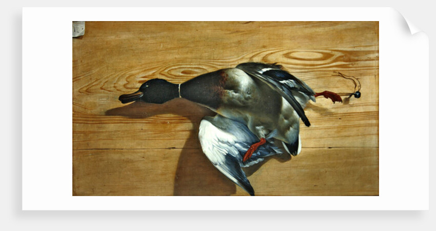 A duck on a pine board, 1753 by Jean Jacques Bachelier
