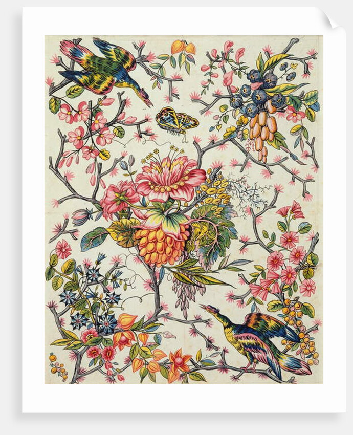 Indian model by Peter Lemeunnie