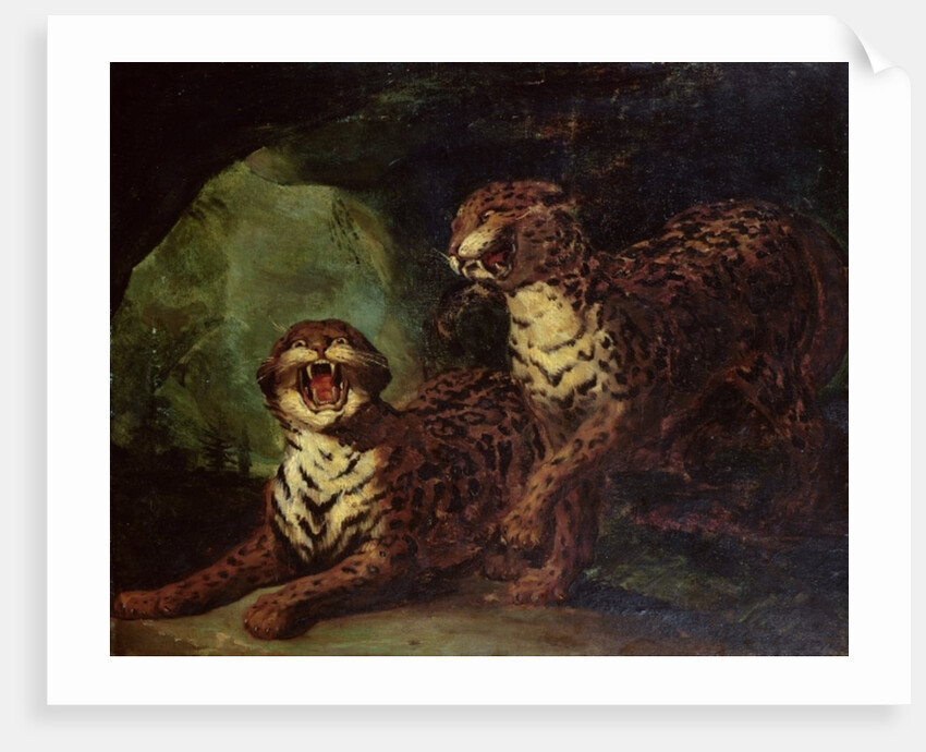 Two Leopards, c. 1820 by Theodore Gericault