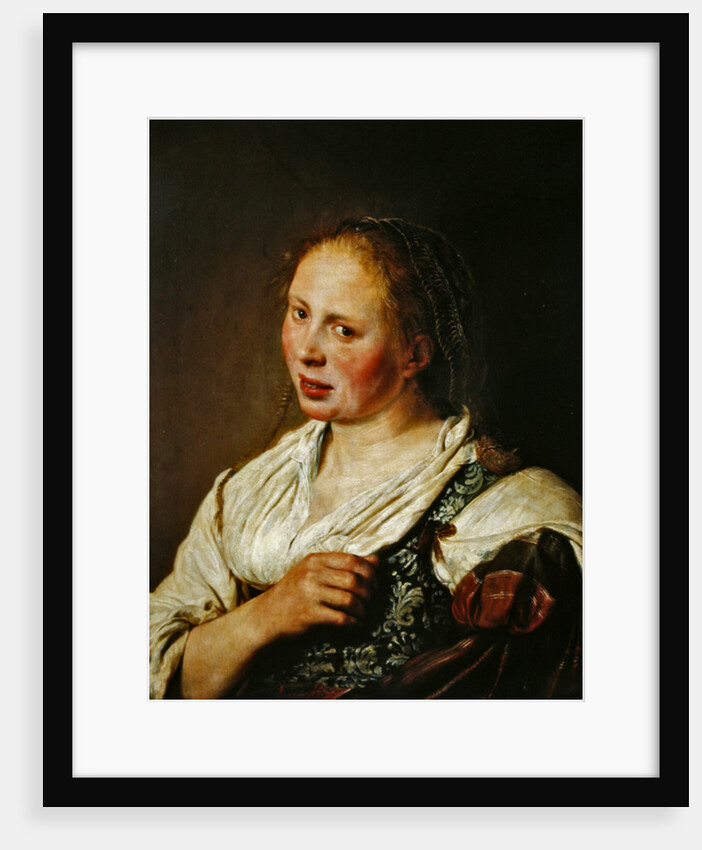 Painting of the young peasant by Salomon de Bray