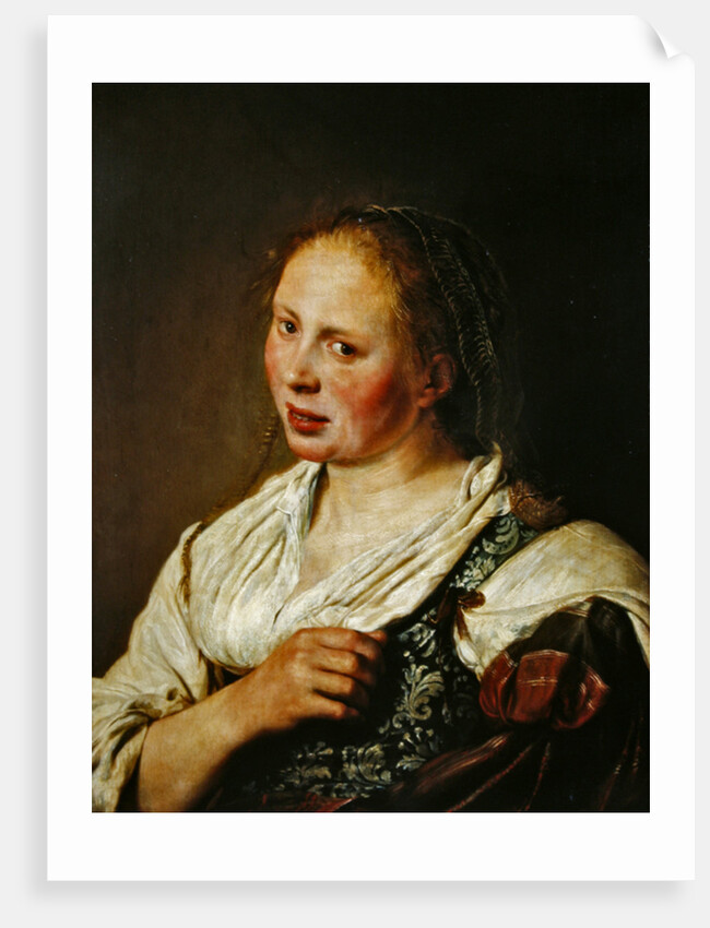 Painting of the young peasant by Salomon de Bray