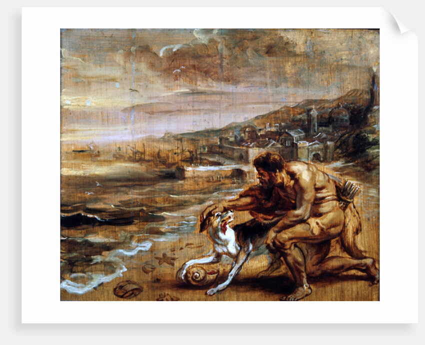 The discovery of purple, c.1636 by Peter Paul Rubens