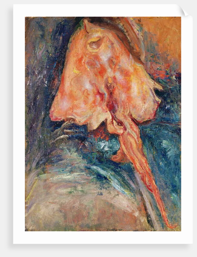 The Ray by Chaim Soutine