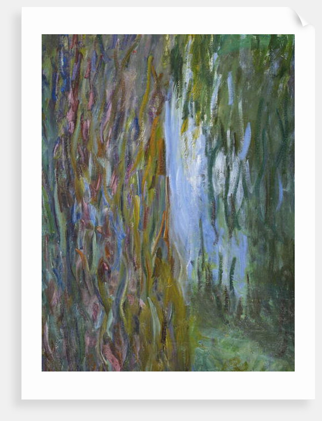 Weeping Willow and the Waterlily Pond, 1916-19 by Claude Monet
