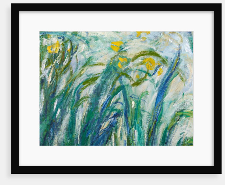 Yellow and Purple Irises, 1924-25 by Claude Monet