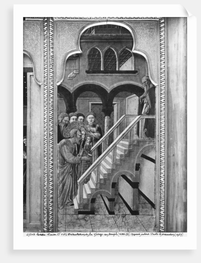 Cycle of the Life of the Virgin, Presentation of the Virgin at the Temple, c.1445 by Giovanni Francesco da Rimini