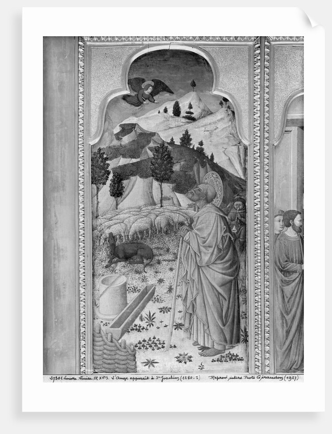 Cycle of the Life of the Virgin, Annunciation to Joachim, c.1445 by Giovanni Francesco da Rimini