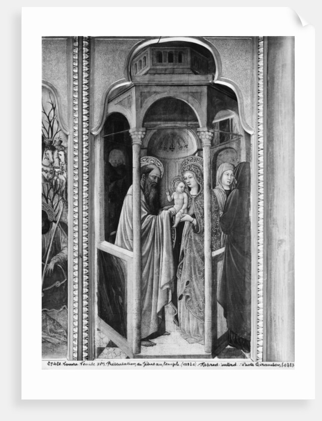 Cycle of the Life of the Virgin, Presentation of Jesus at the Temple, c.1445 by Giovanni Francesco da Rimini