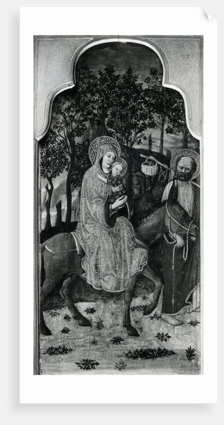 Cycle of the Life of the Virgin, Flight into Egypt, c.1445 by Giovanni Francesco da Rimini