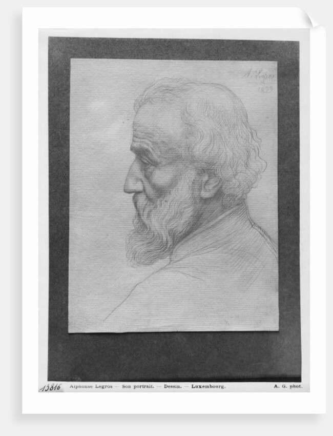 Head of an old man with long hair, 1899 by Alphonse Legros