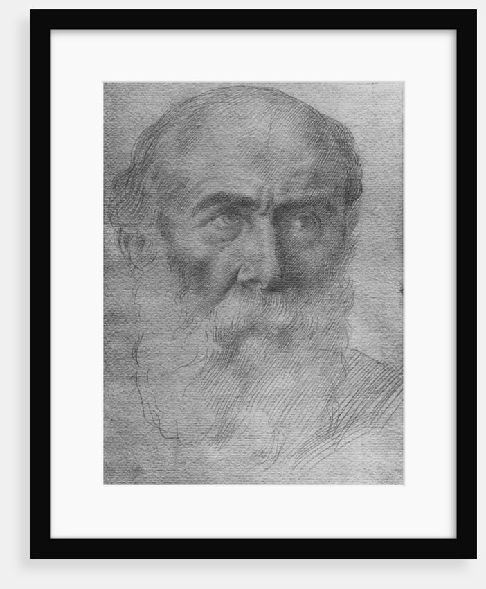 Head of a man by Alphonse Legros