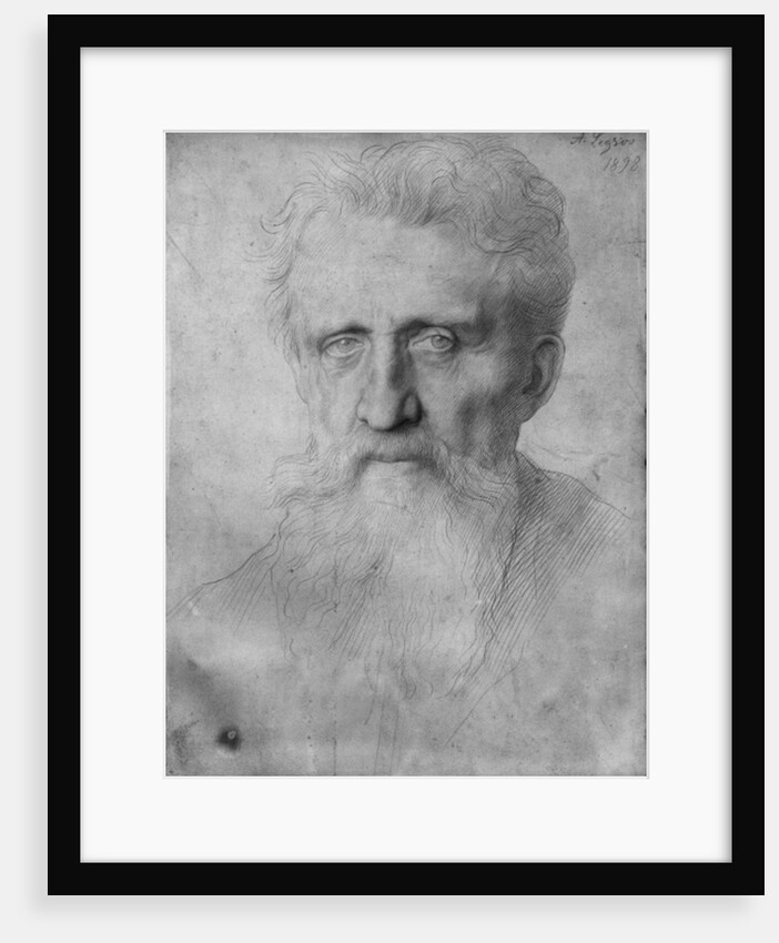 Head of a man with long beard, 1898 by Alphonse Legros