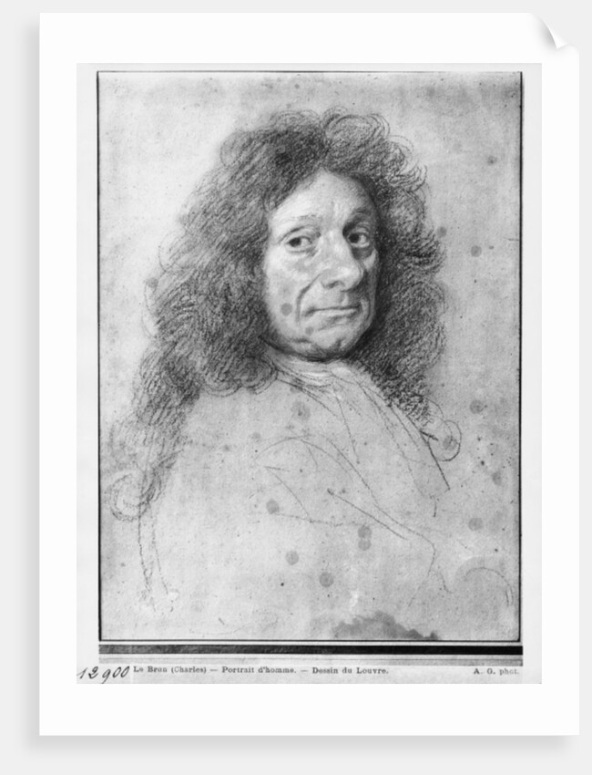 Portrait of a man, turned to the right by Charles Le Brun