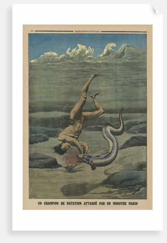 A swimming champion attacked by a sea monster by French School