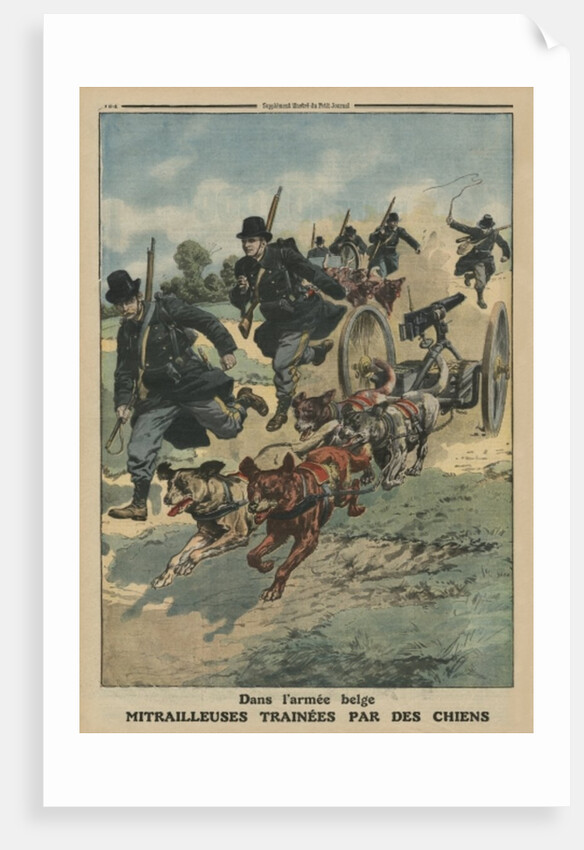 In the Belgian army, machine guns pulled by dogs by French School