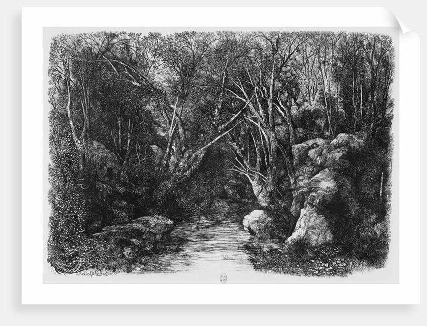 The Stream through the trees, 1880 by Rodolphe Bresdin