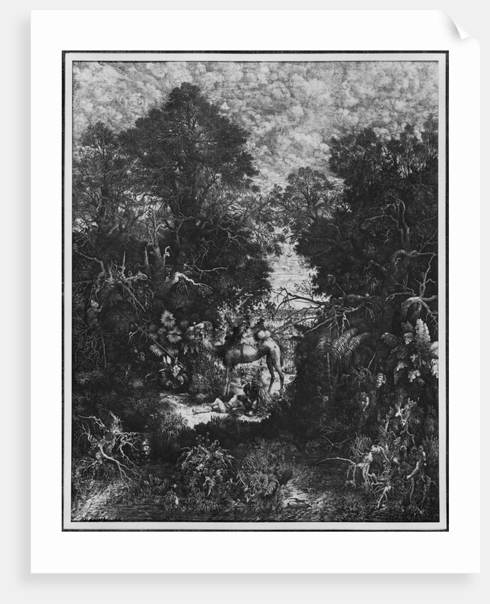 The Good Samaritan, 1861 by Rodolphe Bresdin