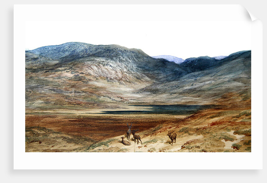 Mountainous landscape with stags, 1873 by Gustave Dore