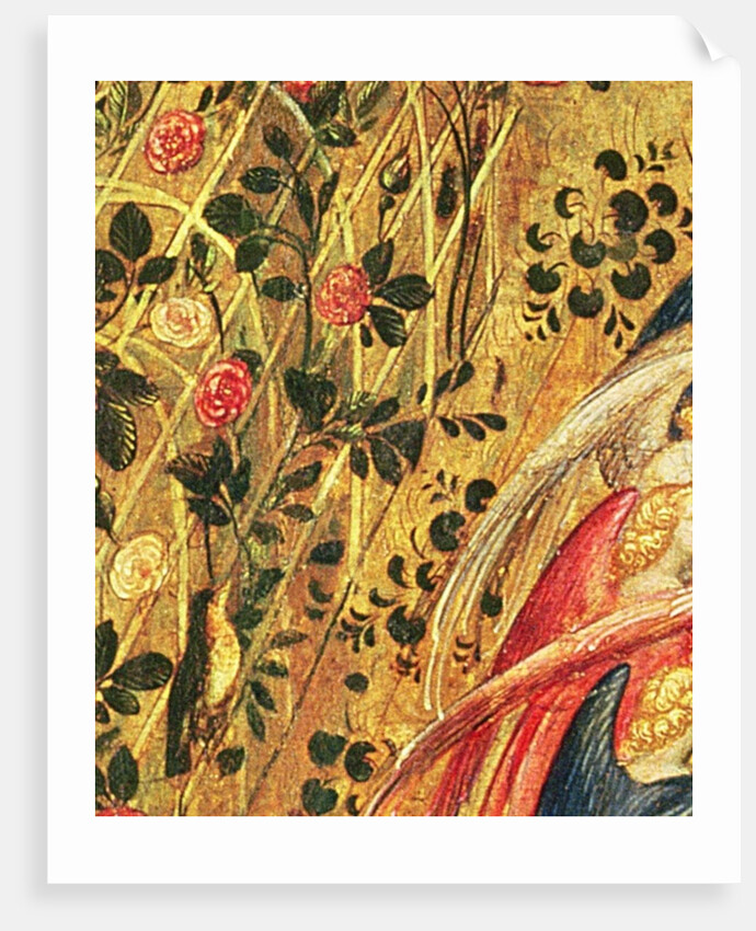 Madonna with a Rose Bush by Stefano di Giovanni da Verona