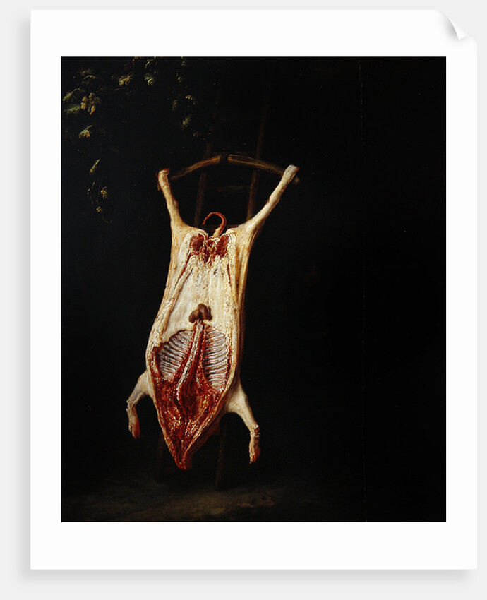 Flayed Pig by Adriaen Jansz. van Ostade