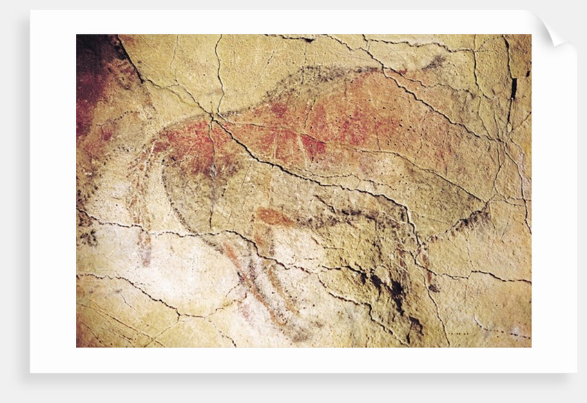 Bison from the Caves at Altamira, c.15000 BC by Prehistoric Prehistoric