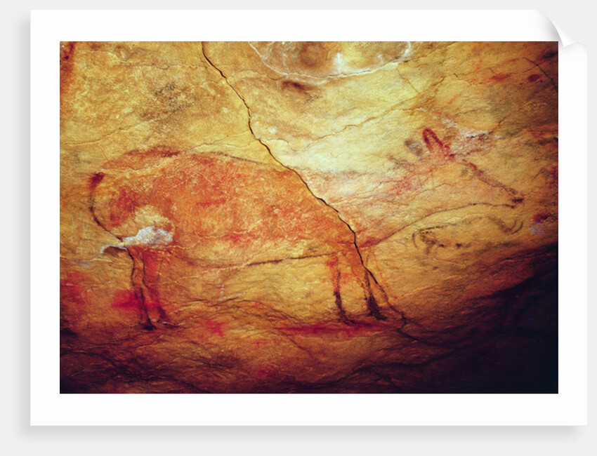 Stag from the Caves of Altamira, c.15,000 BC by Prehistoric Prehistoric