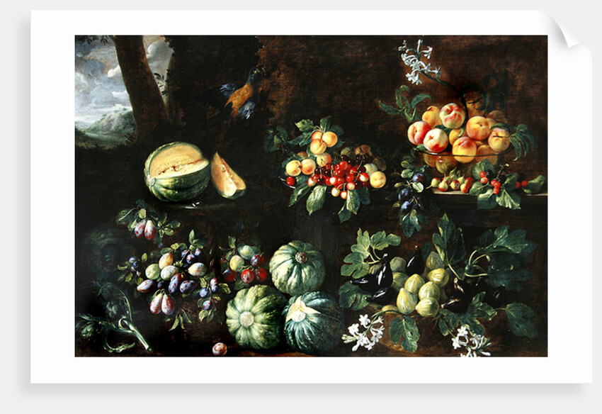 Fruits by Giovanni Brugnoli or Bagnoli