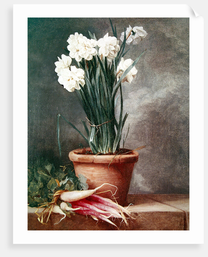 Narcissus and Radishes by Henri Roland de la Porte