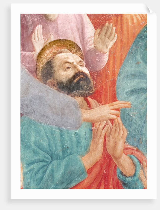 The head of St. Paul by T. & Lippi F. Masaccio