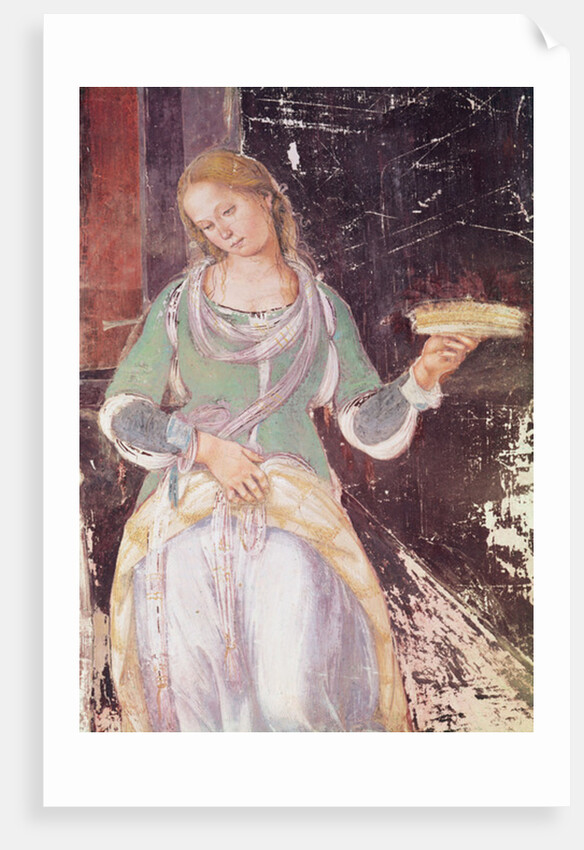 Servant holding a basket by L. & Sodoma G. Signorelli