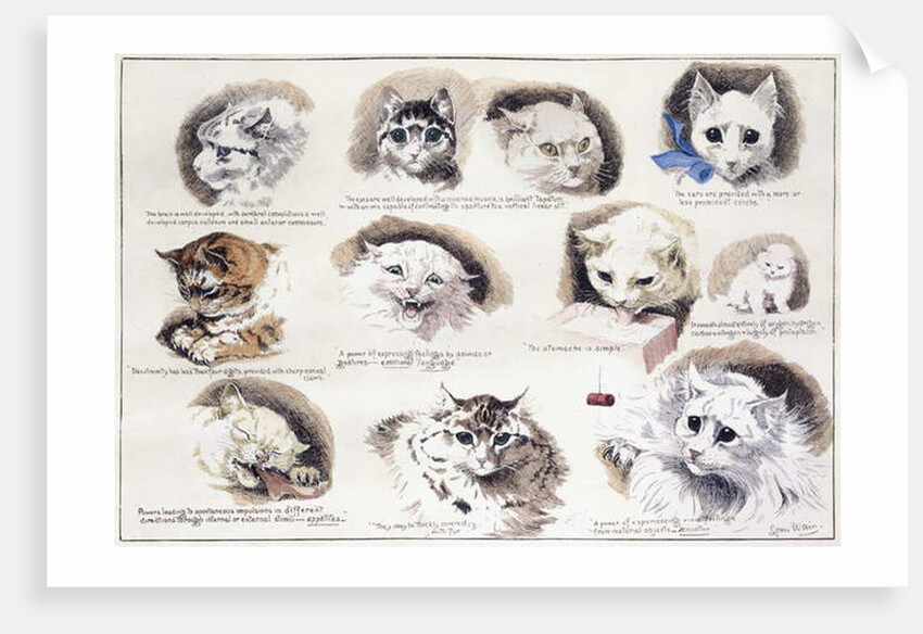 Plan of the Mazas Prison and cells for prisoners, Boulevard Mazas, Paris by French School