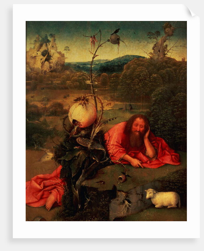 St. John the Baptist in Meditation by Hieronymus Bosch