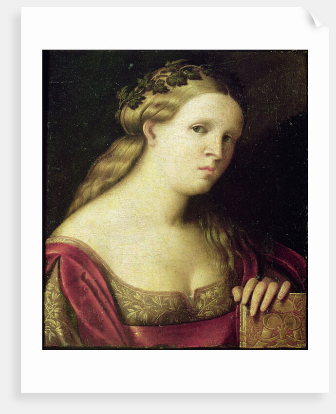 Portrait of a Poet by Jacopo Palma