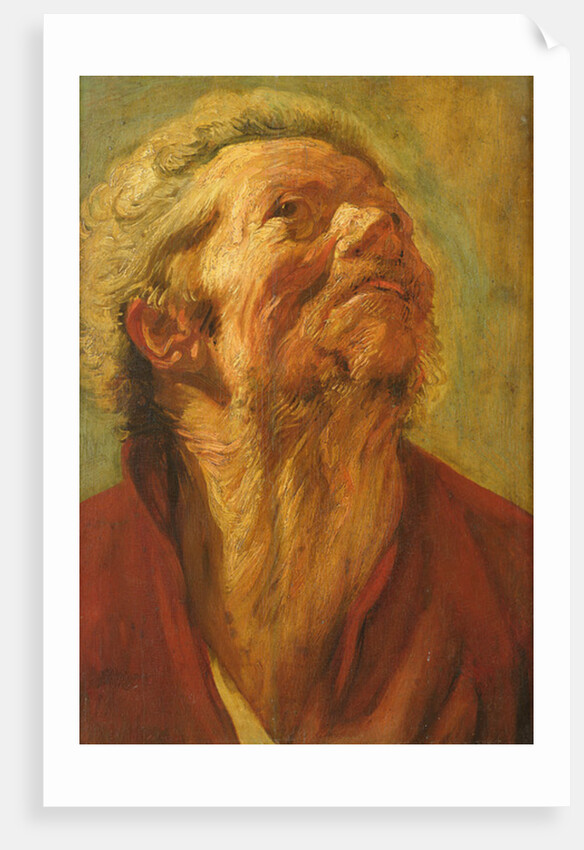 Study of a Head, or Head of an Apostle, c.1620 by Jacob Jordaens