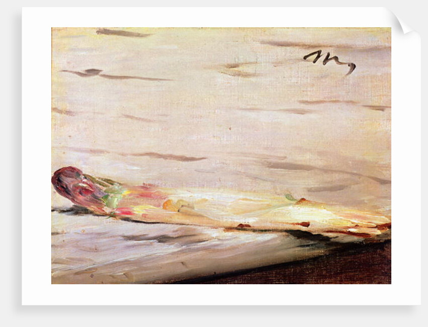 Asparagus, 1880 by Edouard Manet