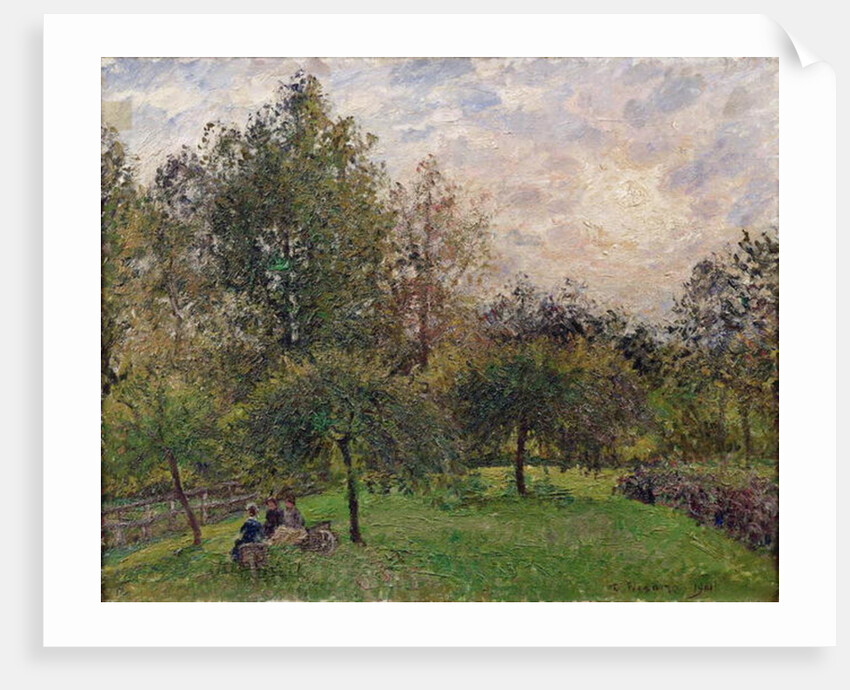 Apple Trees and Poplars in the Setting Sun, 1901 by Camille Pissarro