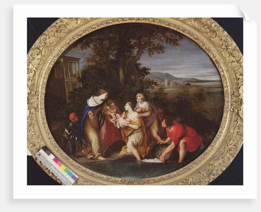 Moses Saved from Drowning by Francesco Albani
