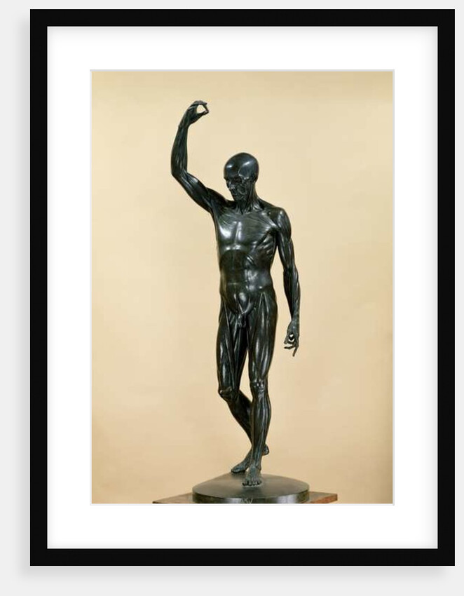 Flayed Body by Jean-Antoine Houdon