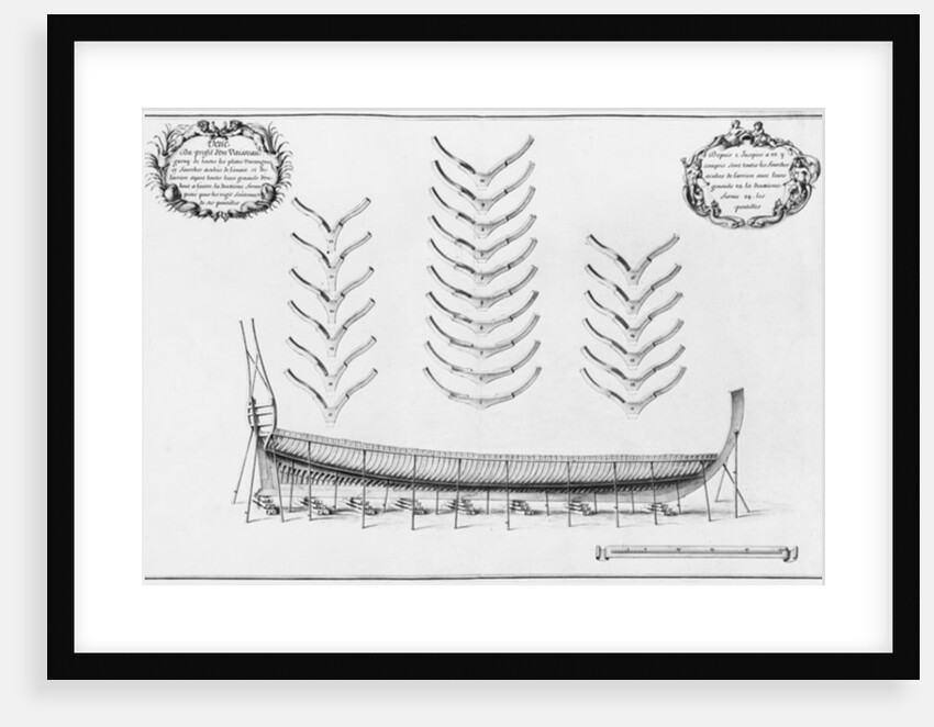 rofile of a vessel with all its floor plates by French School