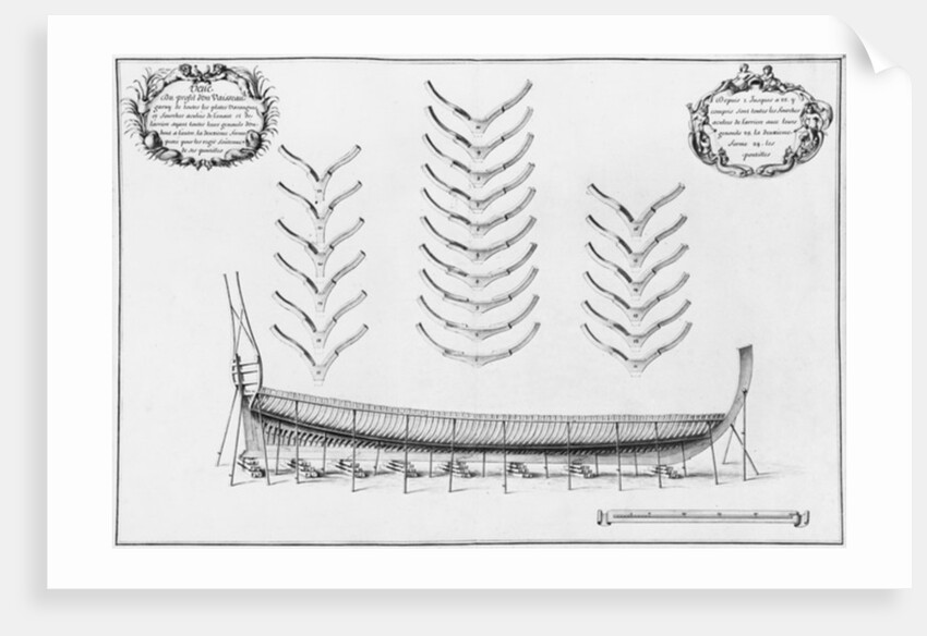 rofile of a vessel with all its floor plates by French School